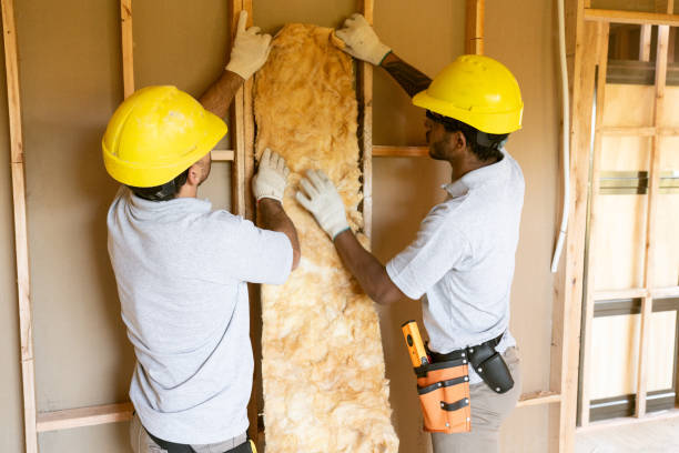 Trusted Mount Vernon, MO Insulation Services Experts